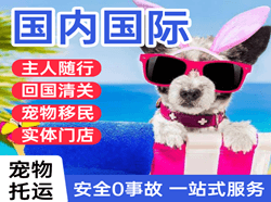 嘎洒空运国际宠物托运 【国